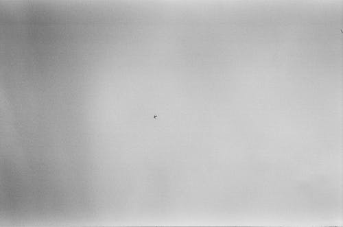 有关天空, 平面, 极简主义的免费素材图片