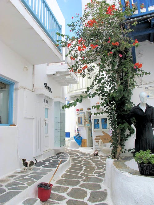 有关垂直拍摄, 城镇, 希腊的免费素材图片