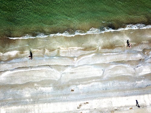 有关俯视图, 夏天, 招手的免费素材图片