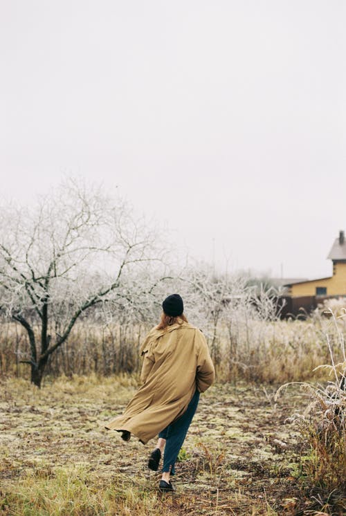 有关冬季, 冻结的, 後视图的免费素材图片