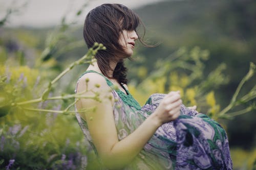 有关侧面图, 夏天, 多风的免费素材图片