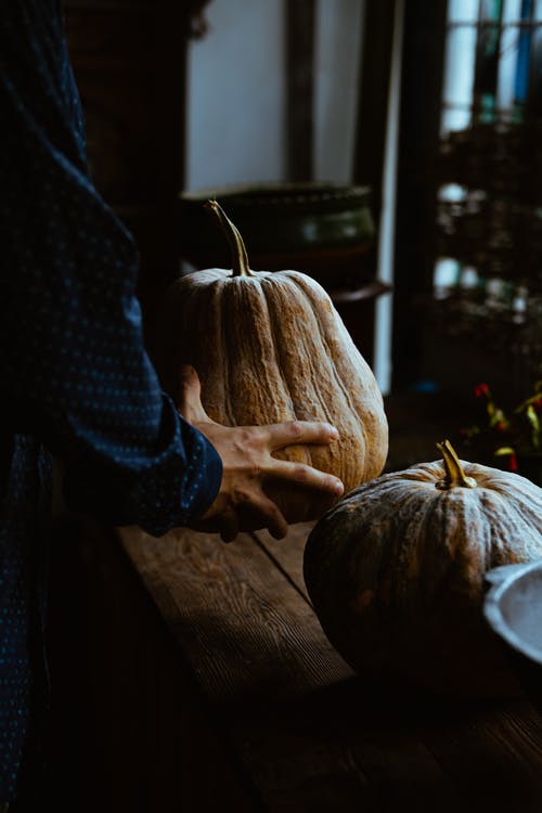 有关南瓜, 手, 手 人类的手的免费素材图片