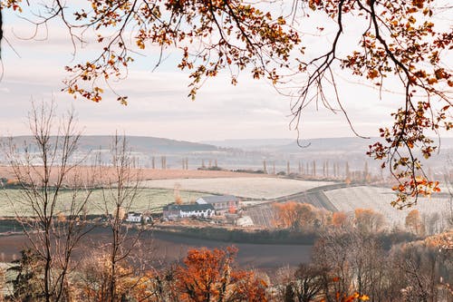有关下落, 公園, 冬季的免费素材图片