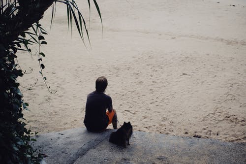 有关人, 坐, 宠物的免费素材图片