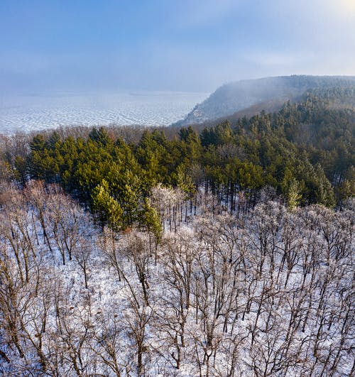 有关下雪的, 冬季, 垂直拍摄的免费素材图片