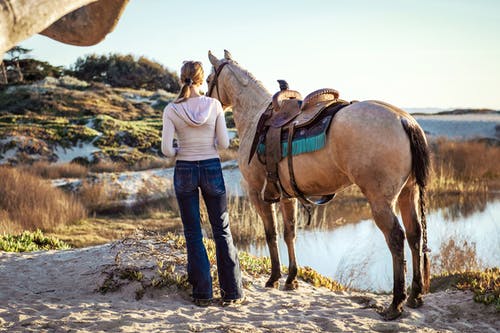 站在匹棕色的马旁边的女人 · 免费素材图片