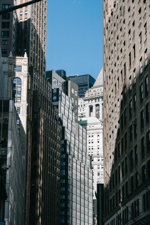 有关中央, 从下面, 低角度的免费素材图片