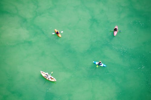骑在绿水上的白色和蓝色船上的人 · 免费素材图片
