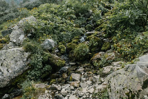 粗糙的岩石石头覆盖着绿色的药草 · 免费素材图片