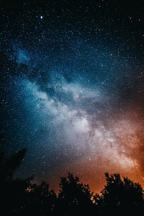 树木繁茂的夜空 · 免费素材图片