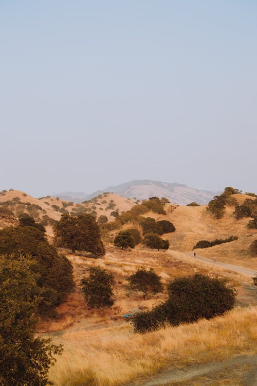 有关人行道, 冷静, 和平的的免费素材图片