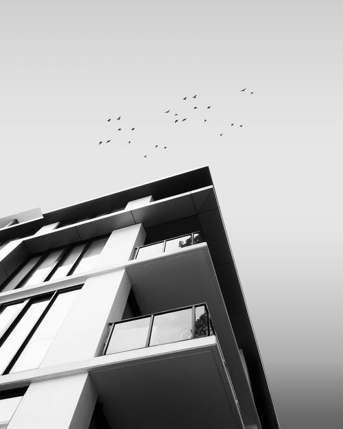 建筑物的黑白照片 · 免费素材图片