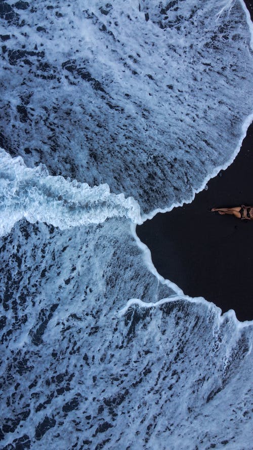 有关垂直拍摄, 天性, 户外的免费素材图片