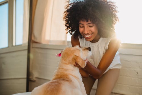 在家抚摸狗的快乐的黑人妇女 · 免费素材图片