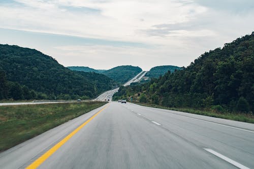 绿叶树木之间的道路 · 免费素材图片