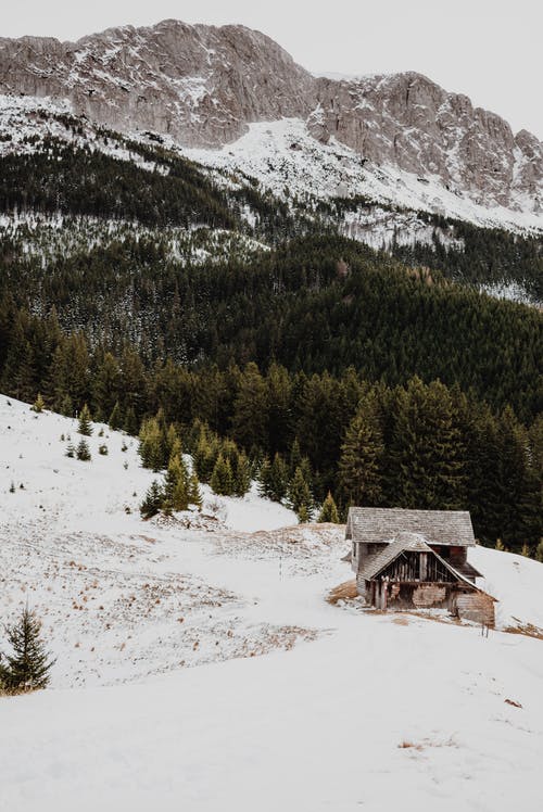 在绿色的松树和山附近积雪覆盖地面上的棕色木屋 · 免费素材图片