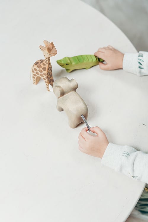 孩子拿着木制动物玩具 · 免费素材图片
