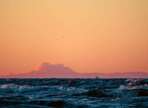 有关天性, 户外, 招手的免费素材图片