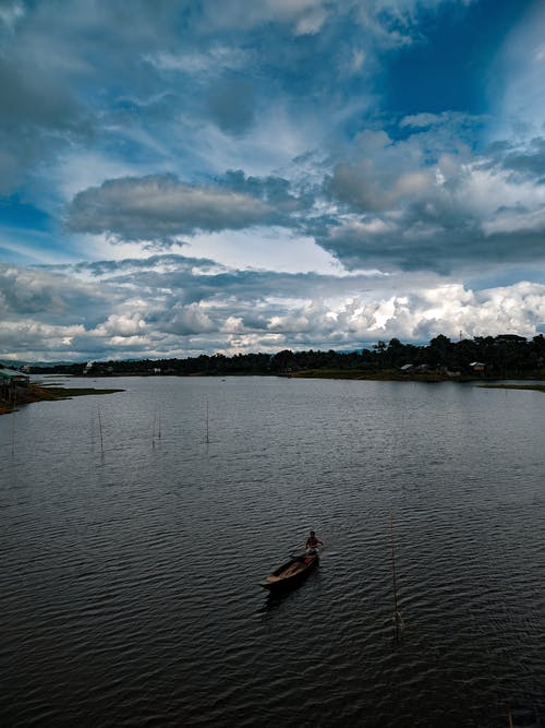 有关垂直拍摄, 天性, 户外的免费素材图片