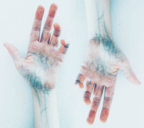 蓝静脉的双手照片 · 免费素材图片