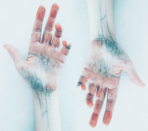 蓝静脉的双手照片 · 免费素材图片