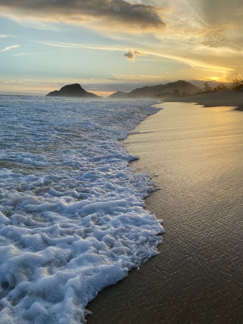 有关垂直拍摄, 岸边, 招手的免费素材图片