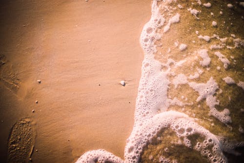 的照片海滨 · 免费素材图片