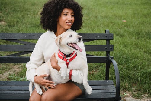 在长凳上的满足的黑人妇女爱抚的狗 · 免费素材图片
