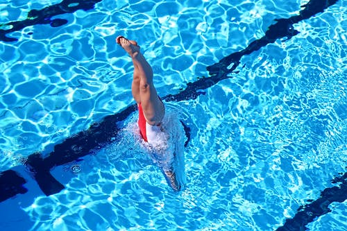 I Diving在水中的白色和红色泳装的女人 · 免费素材图片