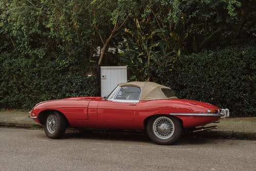 有关交通系统, 停, 可兑换的免费素材图片