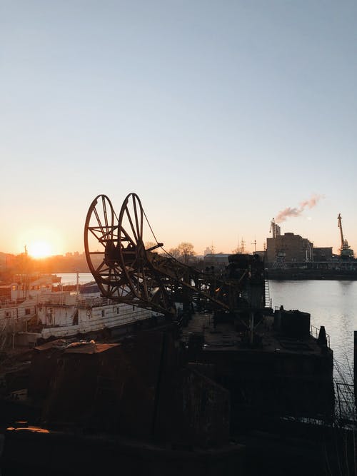 布朗鹤 · 免费素材图片