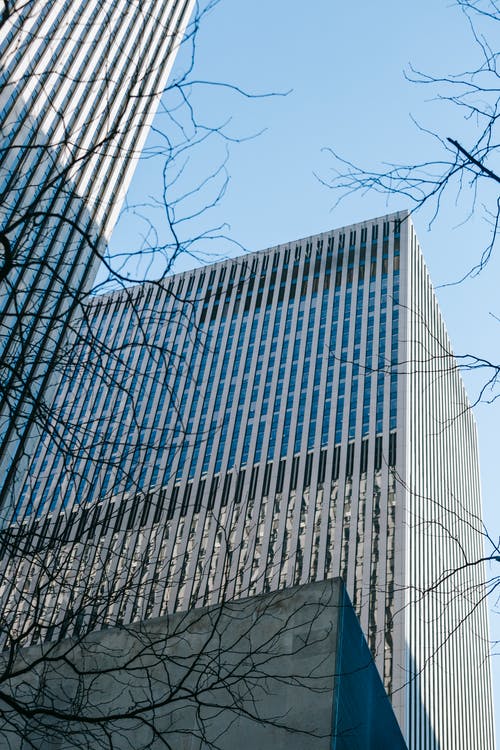 有关中央, 从下面, 低角度的免费素材图片