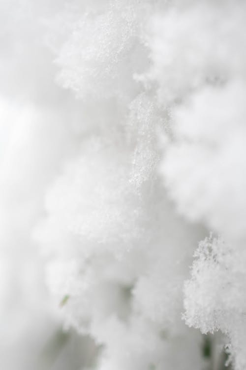 雪的特写摄影 · 免费素材图片