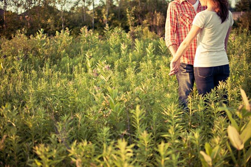 男人和女人在绿色的植物场 · 免费素材图片