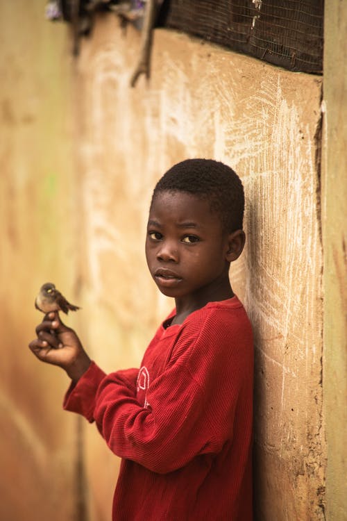 有关倚, 无辜, 看着相机的免费素材图片