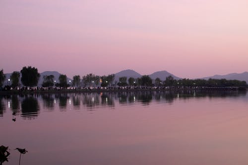 有关冷静, 剪影, 反射的免费素材图片