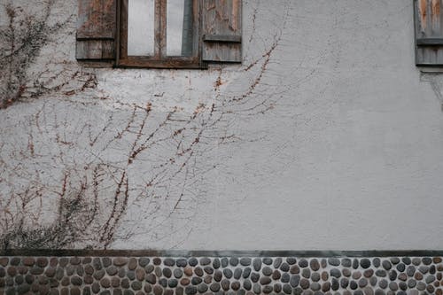 白色的混凝土墙上的棕色木制窗框 · 免费素材图片