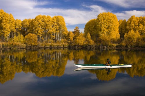 白天在绿色和白色的小船在水面上的人骑 · 免费素材图片