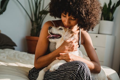 在阳光下播种黑人妇女爱抚的狗在床上 · 免费素材图片