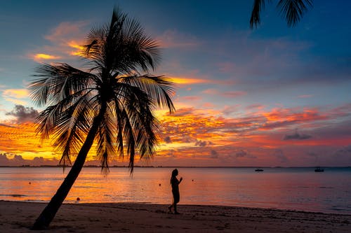 女人在日落时站在海滩上的剪影 · 免费素材图片