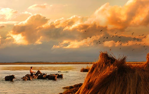 黄金时段人物在水面上的照片 · 免费素材图片