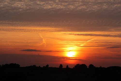 橙色多云的夕阳在树剪影 · 免费素材图片