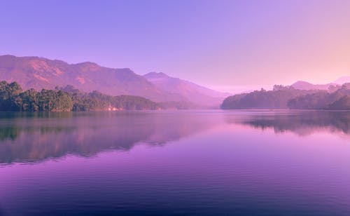 水体前的绿树 · 免费素材图片