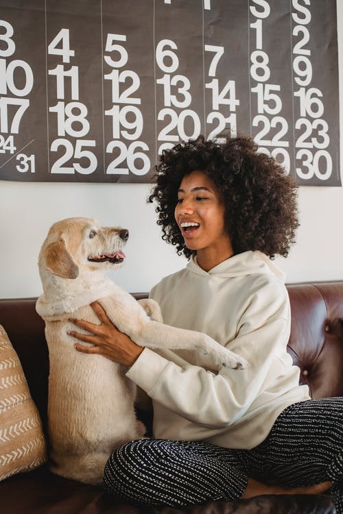 幸福的非洲裔美国女人，和狗一起玩 · 免费素材图片