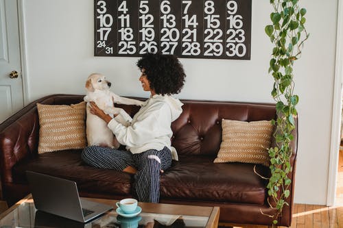 幸福的黑女人和狗在沙发上玩 · 免费素材图片
