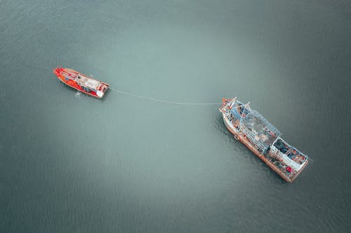 有关光滑, 天性, 从上面的免费素材图片