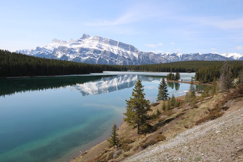 湖和山脉附近的绿树 · 免费素材图片