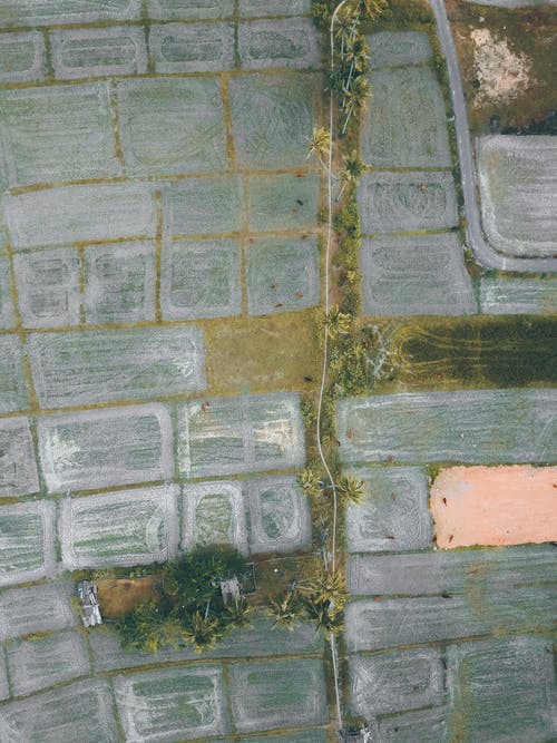 有关俯视图, 农事, 农艺学的免费素材图片