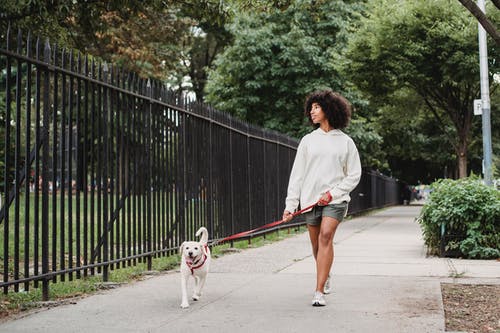 黑人妇女与狗在大街上行走 · 免费素材图片