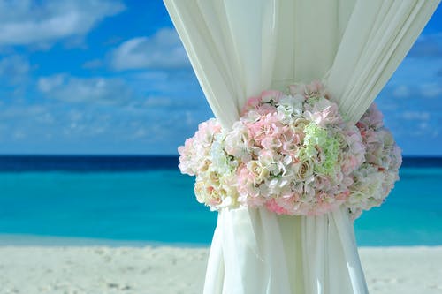 白天在白色沙滩附近的白色窗帘上的粉红色白色花瓣花 · 免费素材图片